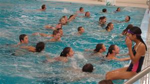 swim 